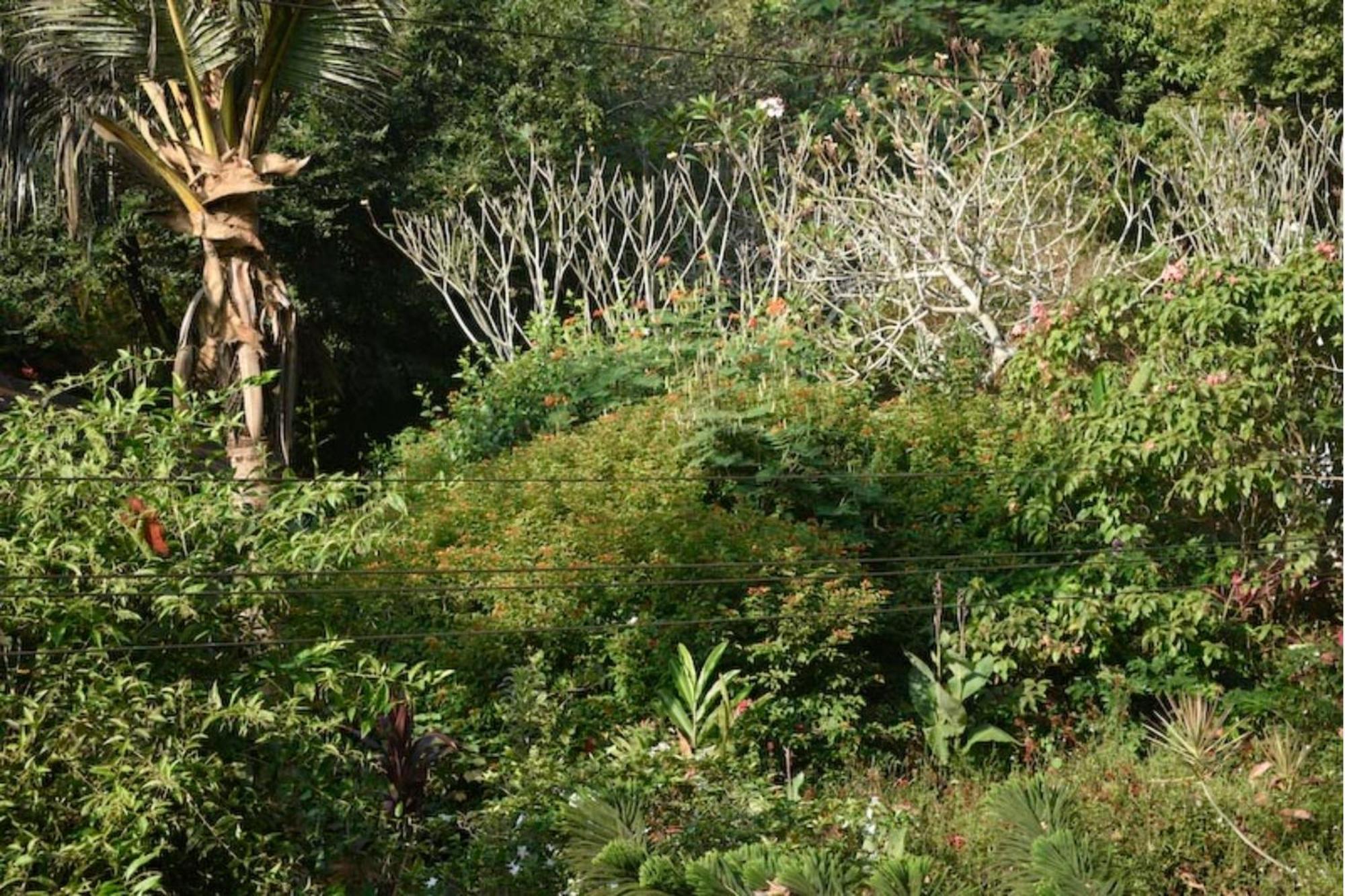 Gaia'S Garden Guest House Auroville Eksteriør billede