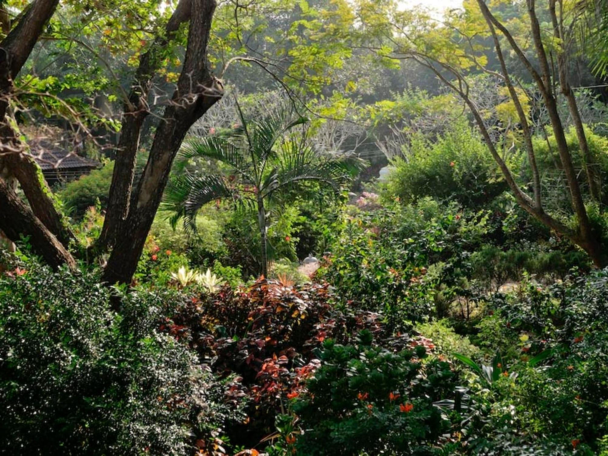 Gaia'S Garden Guest House Auroville Eksteriør billede